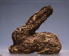 Karnickelköttelkarnickel